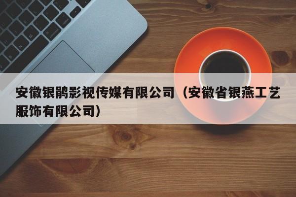 安徽银鹃影视传媒有限公司（安徽省银燕工艺服饰有限公司）