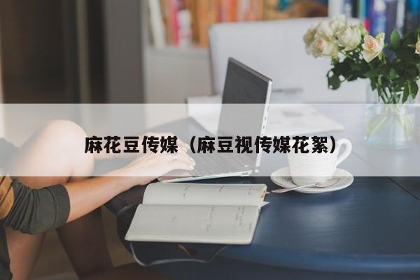 麻花豆传媒（麻豆视传媒花絮）