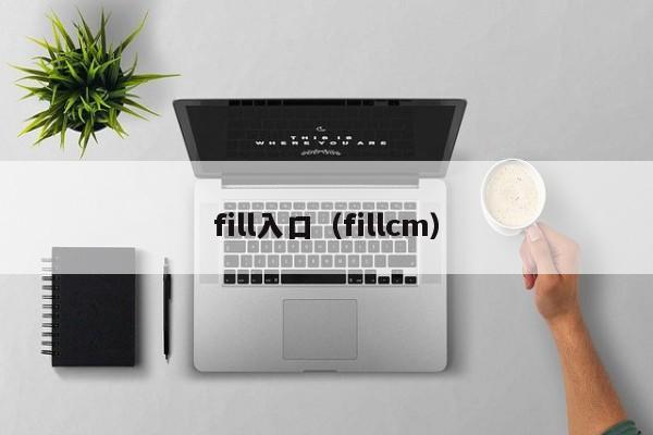 fill入口（fillcm）