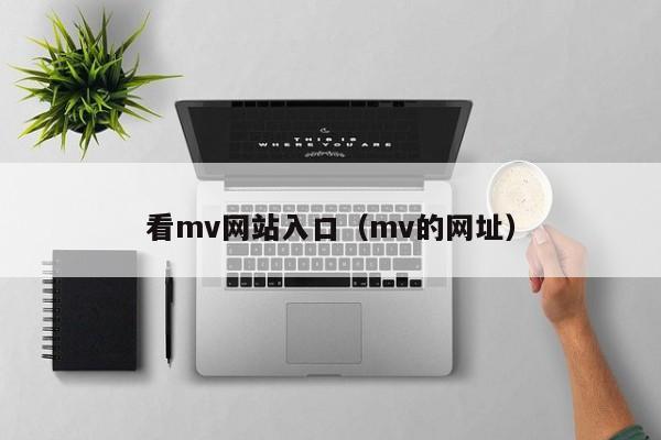 看mv网站入口（mv的网址）